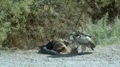 Числа 3 сезон 12 серия